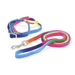 Postroj pre mačky s vodítkom 10 mm/120 cm, dúhový